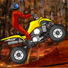 playing Quad Extreme Racer game